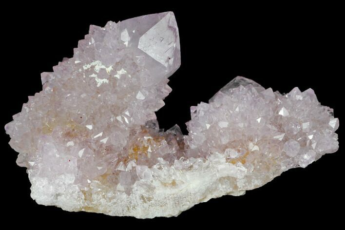 Cactus Quartz (Amethyst) Crystal Cluster - South Africa #132494